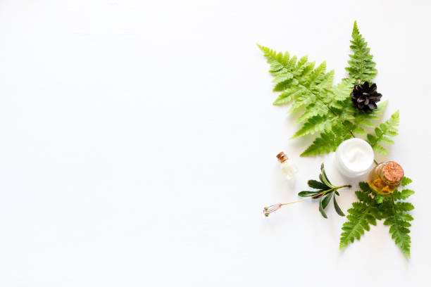 istock natural cosmetics, a leaf of a fern and a cone 1052021272