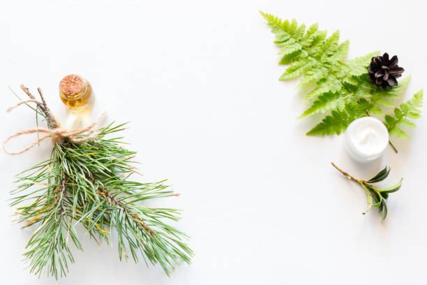 istock frame from home cosmetics and natural ingredients with place for text on a white background 1052021344