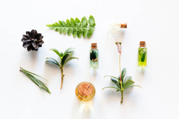 cosmetics from natural wood ingredients