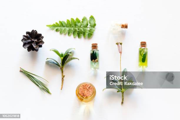 Cosmetics From Natural Wood Ingredients Stock Photo - Download Image Now - Ingredient, Nature, Natural Condition