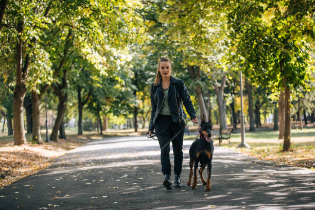 istock Woman walking her dog in park 1052030238