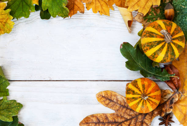 istock Autumn oak leaf with decorative pumpkins composition on old white vintage wooden texture floor. Fall, halloween concept. Flat lay, top view 1052031658