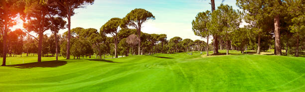 golf club verde panoramico - golf panoramic golf course putting green foto e immagini stock