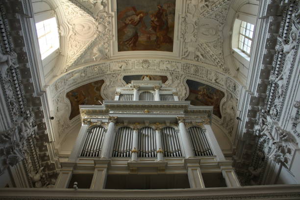 This is the Church of St. Peter and St. Paul in Vilnius, Lithuania.
