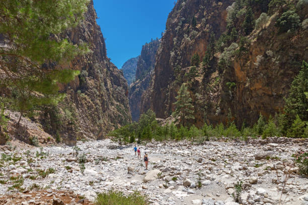 die berühmte samaria-schlucht in den white mountains auf der insel kreta in griechenland. touristen zu fuß auf dem wanderweg weiter. trockenes flussbett. - mountain majestic park cliff stock-fotos und bilder