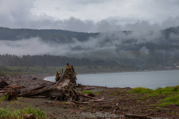 istock Port Renfrew Rainy landscape 1052092828