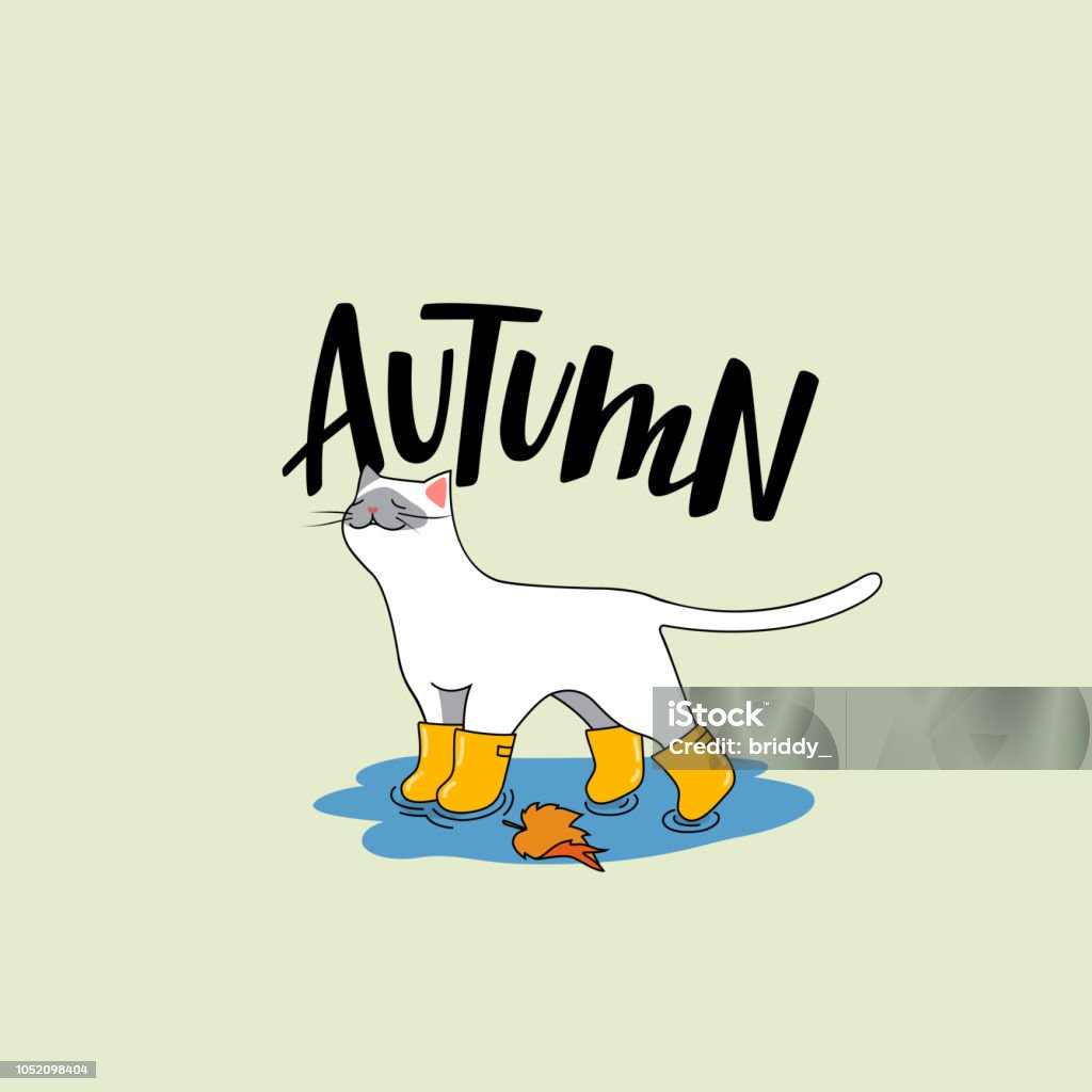 Cute White Cat with Autumn Accessories Cute White Cat with Autumn Accessories. Vector Cartoon Character with Handwritten Lettering. Autumn stock vector