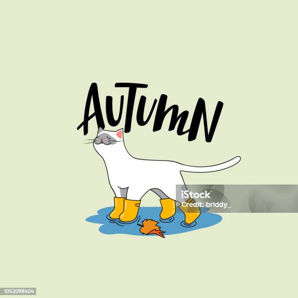 Cute White Cat With Autumn Accessories Stock Illustration - Download Image Now - Autumn, Domestic Cat, Doodle
