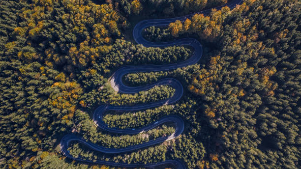 istock Curved road trough the forest 1052098692