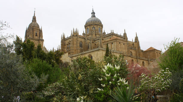 istock Cathedral of Salamanca 1052103236
