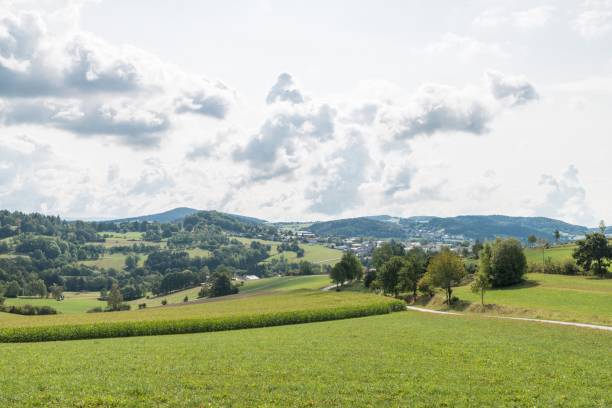 istock Corn field and meadow in the Bavarian Forest, Germany 1052151684