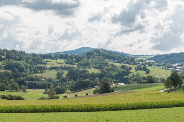 istock Corn field and meadow in the Bavarian Forest, Germany 1052152866