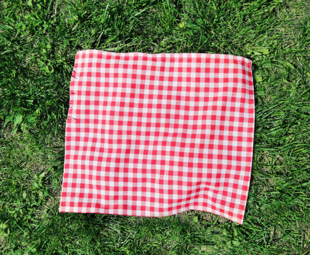 Red checkered picnic cloth over green grass top view. Red checkered picnic cloth over green grass top view. picnic blanket stock pictures, royalty-free photos & images