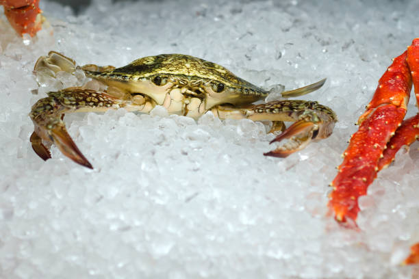 istock Fresh raw crab on ice. Seafood. Moskow. 1052175674