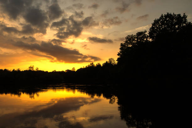 istock Silhouette of forest at sunset with clouds 1052175772