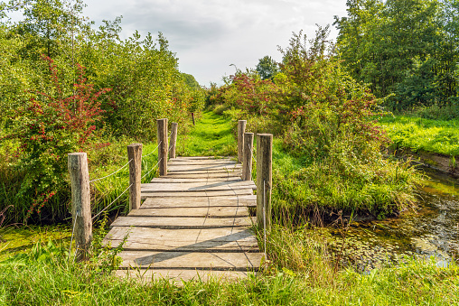 Simple wooden bridge of wooden planks and round beams over a ditch in a Dutch nature reserve in autumnal  colors. The photo was taken at the Pompveld near Babyloniënbroek in Noord-Brabant.