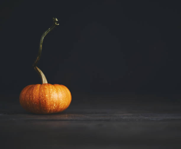 istock Simple still life fall arrangement with miniature pumpkin 1052176920