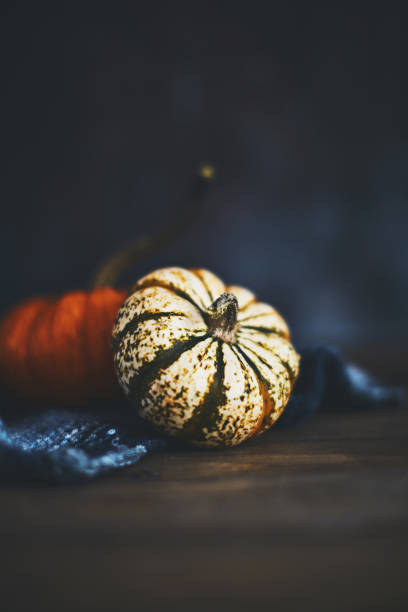 istock Simple still life fall arrangement with mottled pumpkin 1052176992