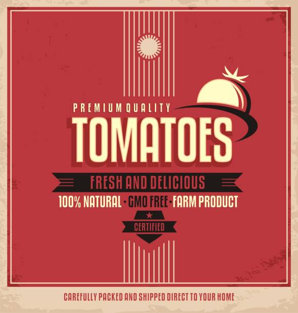 Tomatoes retro label for farm product Fresh farm product poster design. Tomatoes retro label. Promotional vintage printing material for healthy food product. Vegetables vector illustration. 1940s style stock illustrations