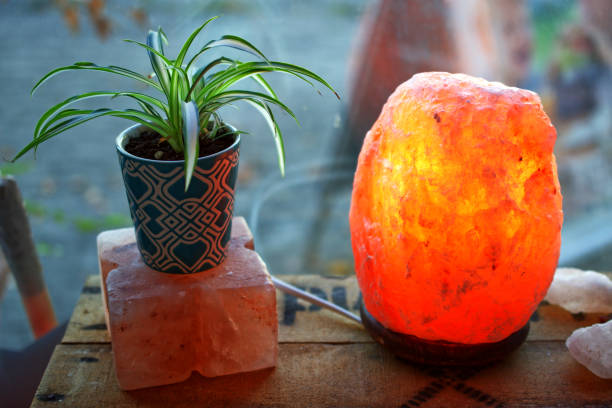 plant and a saltlamp on a wooden box infront of a window closeup macro - salt room imagens e fotografias de stock