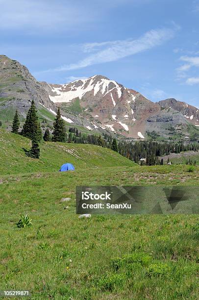Crested Butte Outcast Into The Mountains Stock Photo - Download Image Now - Adventure, Aspen - Colorado, Aspen Tree