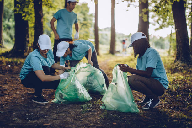 istock Group of young people cleaning public park 1052204536