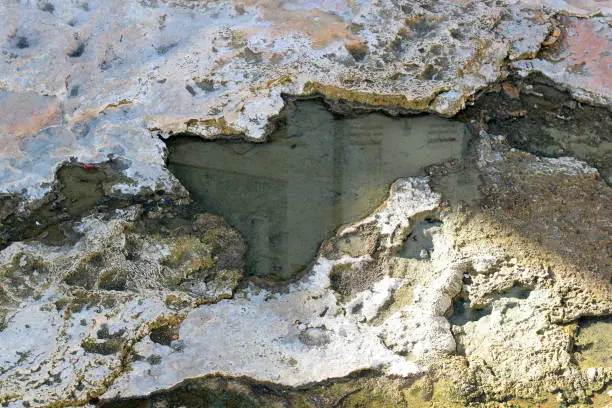 Photo of reflection house in a pool of hydrogen sulfide therapeutic mineral water at a natural hot spring in Karlovy Vary, Czech Republic.