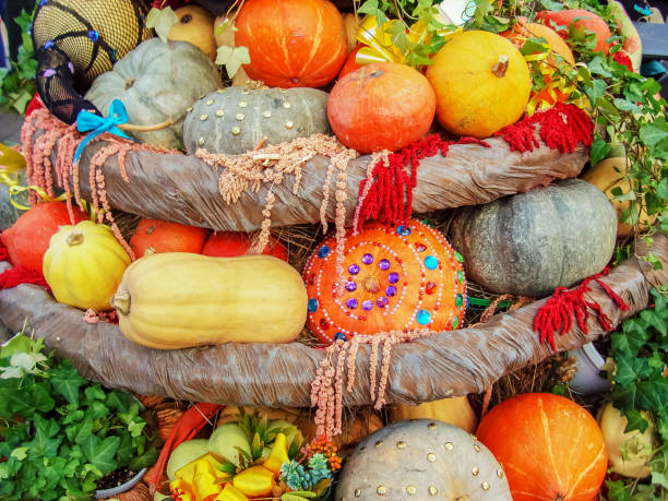 istock Autumn composition with different types of pumpkins. 1052206796