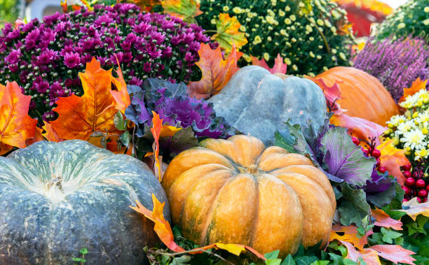 istock Autumn composition with different types of pumpkins. 1052206868