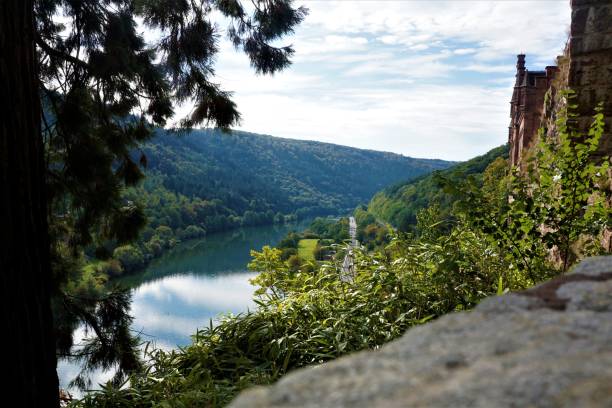 vista del castillo de zwingenberg sobre el valle del río neckar - odenwald fotografías e imágenes de stock