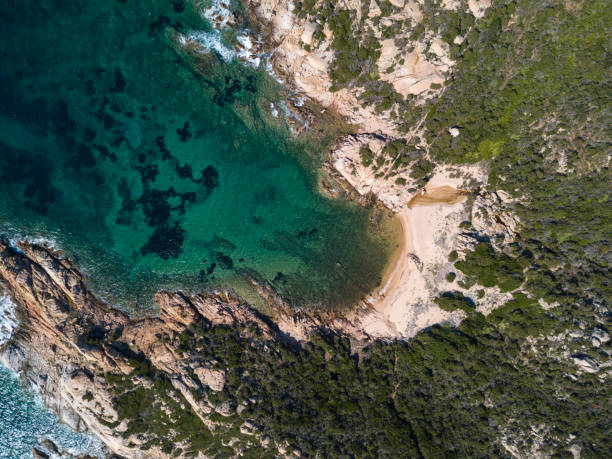istock Coast of La Maddalena from the Drone 1052220702