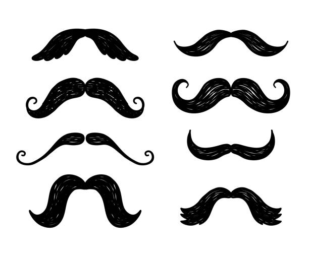 손으로 그린 낙서 벡터 콧수염 아이콘 세트 - mustache stock illustrations