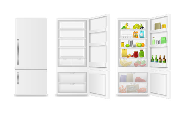 illustrazioni stock, clip art, cartoni animati e icone di tendenza di realistico dettagliato 3d frigorifero pieno e vuoto. vettore - frigorifero