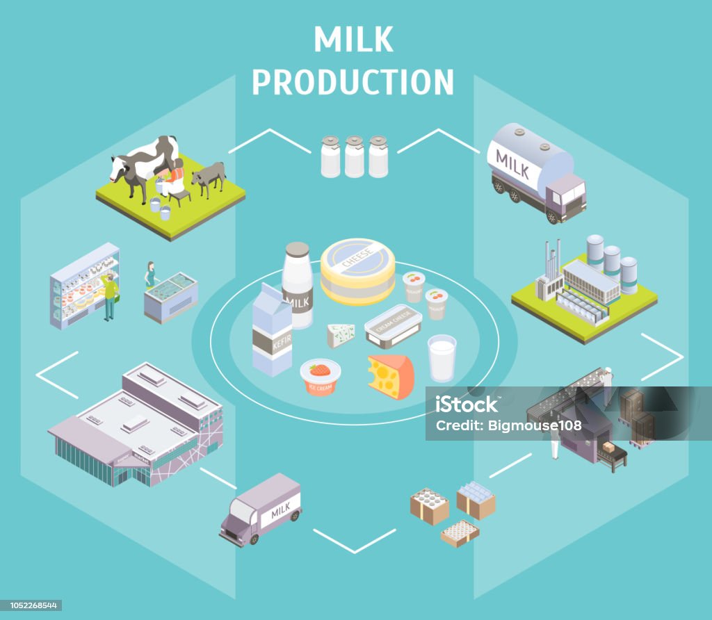 Production livrant le lait Concept vue 3d isométrique. Vector - clipart vectoriel de Lait libre de droits