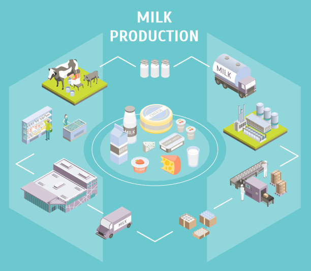 Production Delivering Milk Concept 3d Isometric View. Vector Production Delivering Milk Concept 3d Isometric View Include of Dairy Factory, Car Delivery Services and Shop. Vector illustration industry and manufacturing infographics stock illustrations