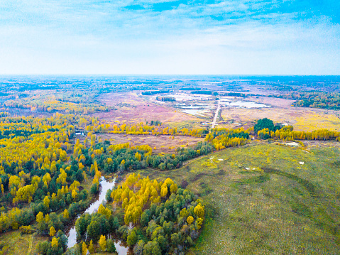 Autumn forest with country river. Aerial view