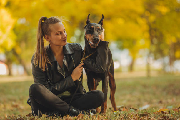 istock Young woman playing with her Doberman 1052284880