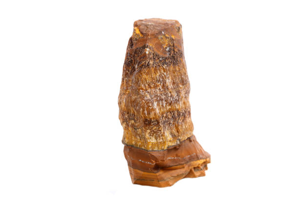 istock Macro mineral stone Tiger's eye in the breed on a white background 1052317782