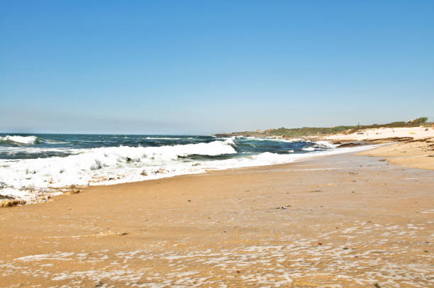 istock Beautiful Day By The Seaside 1052318272