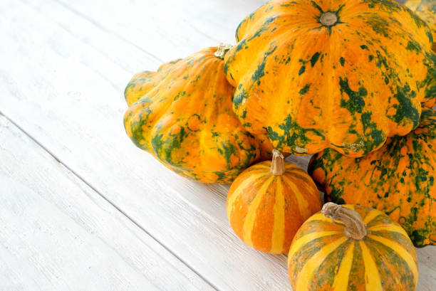 istock Squash and decorative pumpkins on a white wooden background as autumn concept for thanksgiving day 1052340722