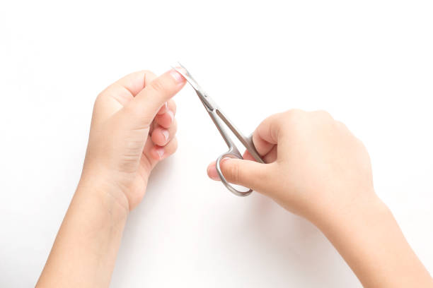 A child cuts his fingernails with manicure scissors at home. On a white background.
