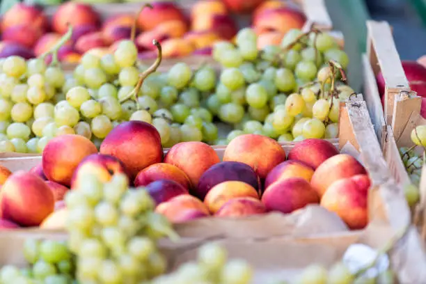 Closeup of fresh ripe, purple, orange and yellow nectarines, peaches, and green grapes in farmer's market in Italy during summer, wooden crates, boxes, display