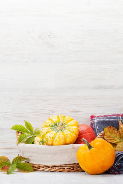 Autumn still life card with pumpkins and colorful leaves in front of wooden wall. With space for your text