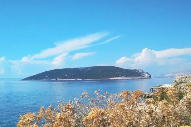 island sveti Grgur view from Goli otok, Croatia kvarner bay over typical Adriatic vegetation