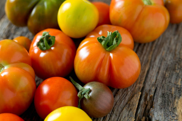 istock colorful organic tomatoes on wooden surface 1052369390