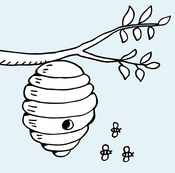 bienenstock und tree branch - beehive stock-grafiken, -clipart, -cartoons und -symbole