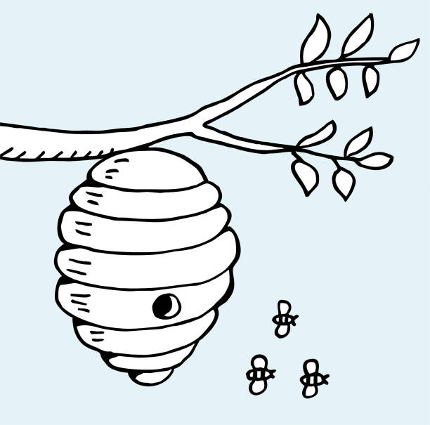 улей и ветка дерева - bee swarm of insects beehive tree stock illustrations