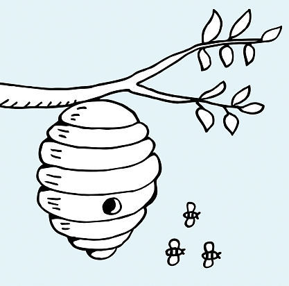 Beehive and tree branch