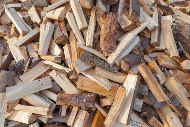 istock A pile of firewoods 1052390070