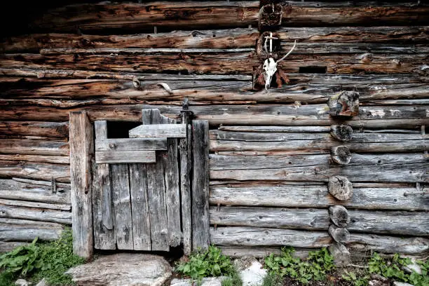 A stable on a alpine pasture used for goats and sheeps. On the wooden beams hangs a hunting trophy and a wooden cross.